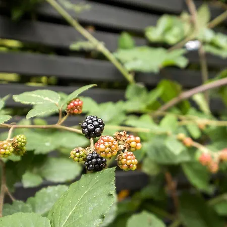 In With Wifi Casa de Férias Hornbæk