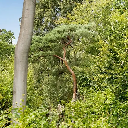 In With Wifi Casa de Férias